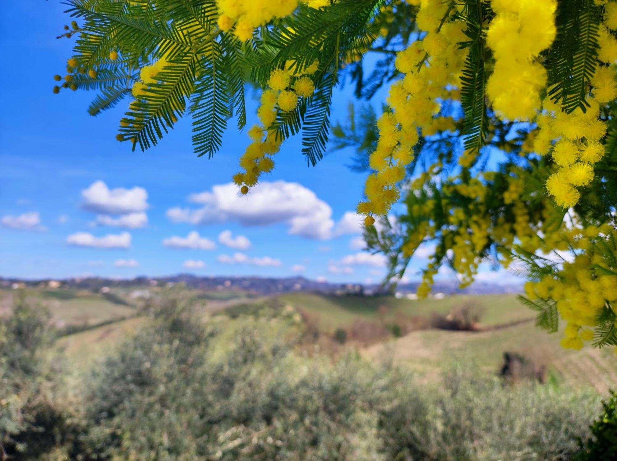 Apartment Tuscany Hills La Veduta